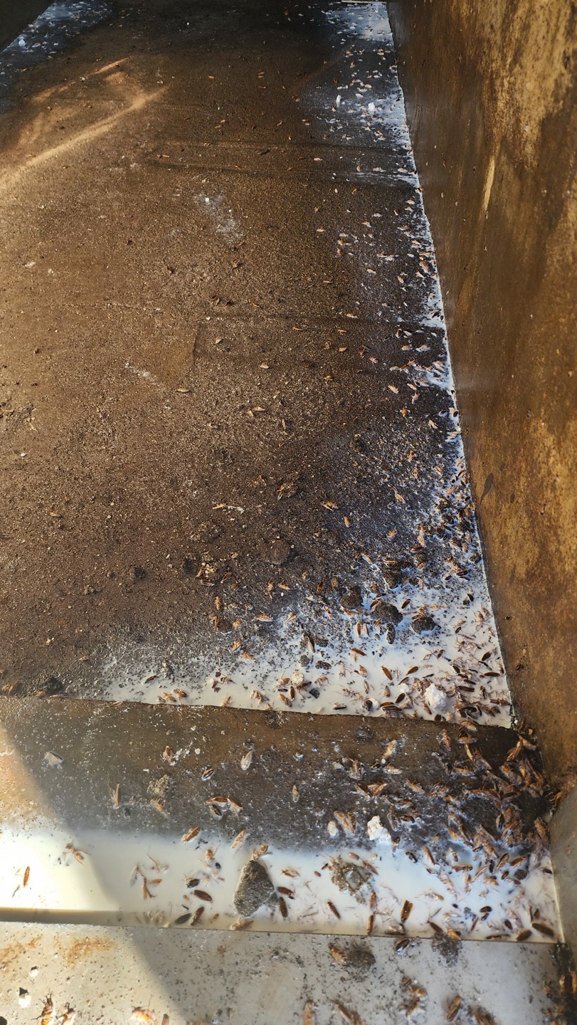 자체 방역 약품 이미지 4